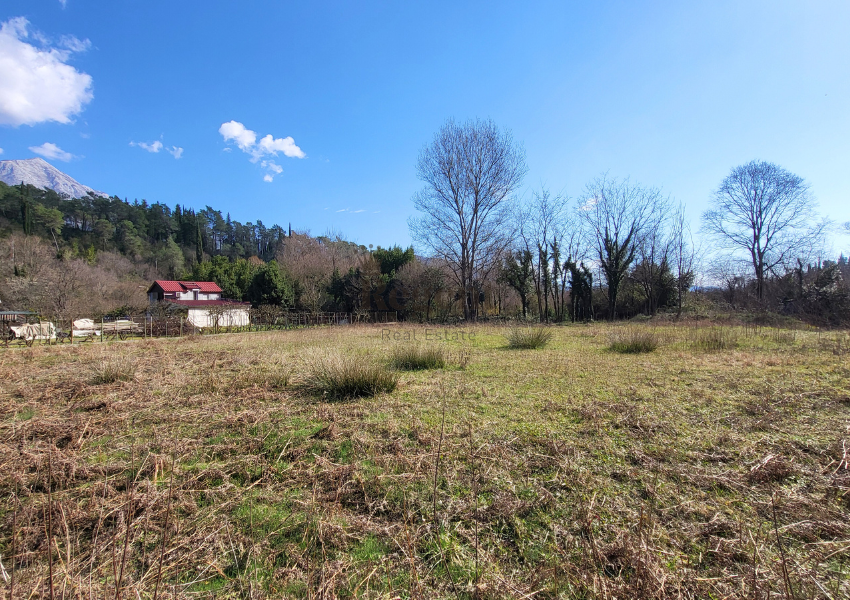 Urbanizovanozemljiste Herceg Novi na prodaju. Vidi se sporedni put, sirok, dobar prilaz, vidi se zelenilo, nebo, planine. Plac na prodaju, land for sale. Dobra prilika za investiciju. Invest Regent Real Estate